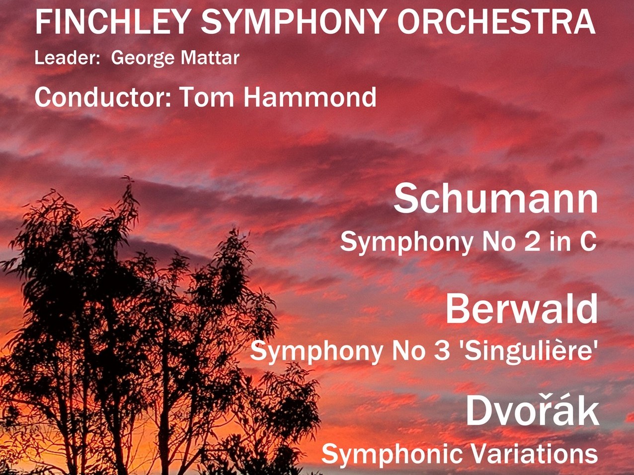 Thumbnail poster for concert on Saturday November 23 2019